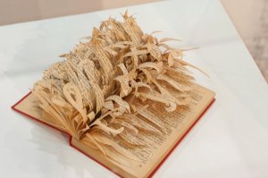 Book 6 by Boukje Voet. Photo by Rob Kennard.