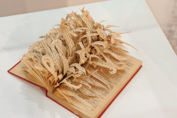 Book 6 by Boukje Voet. Photo by Rob Kennard.