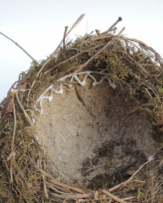 Gibson_Comfortandjoy_de