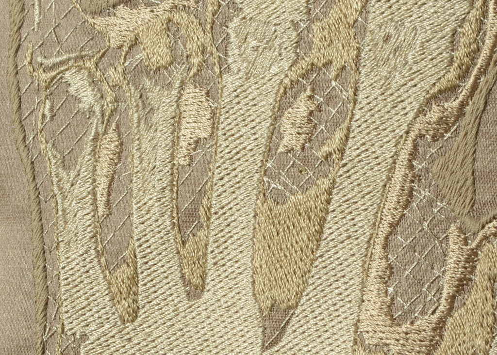 Karina Thompson 600 Diagnoses a Day detail2